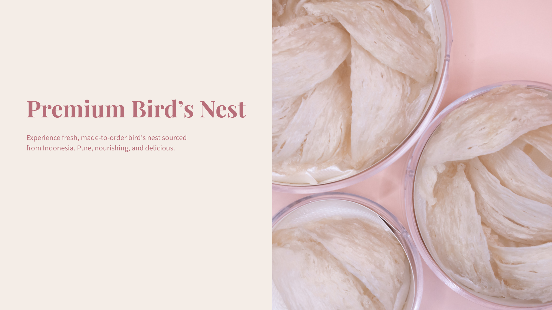 Premium Bird's Nest